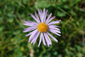 DSC07974