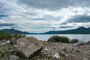 DSC01601