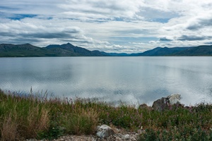 DSC01602