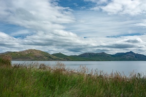 DSC01603