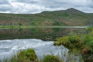 DSC01630