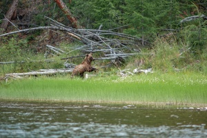DSC01780