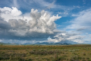 DSC02254