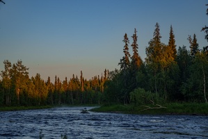 DSC03236