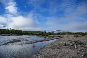 DSC04321