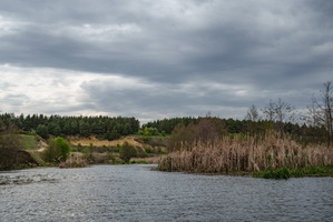 DSC03985