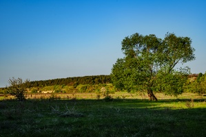 DSC03989