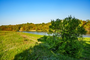 DSC03990