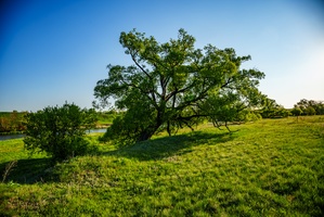 DSC03991