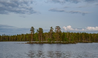 DSC04084