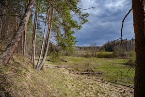 DSC05231