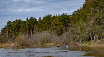 DSC05243