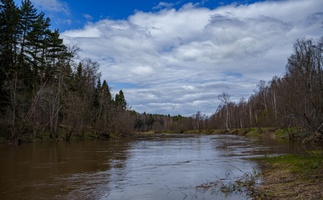 DSC05254