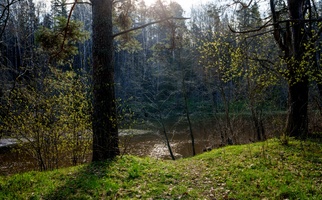 DSC05264