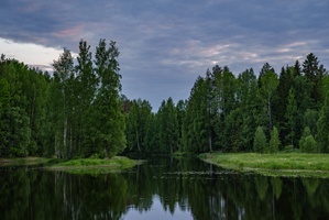 DSC05398