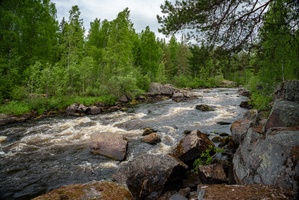 DSC05451